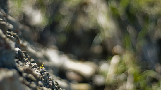 Ankaran, sea, waves, rocks...