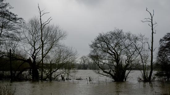 Cycling in the Rain - When the River has too much water