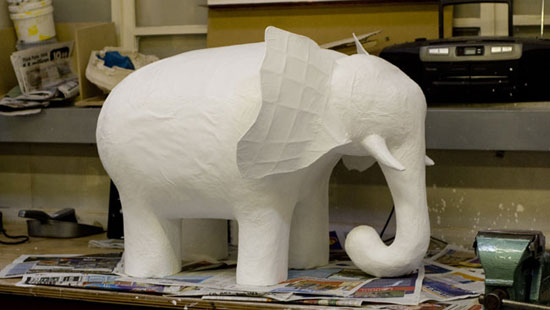 Elephant Name Search