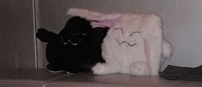 Furry creatures ^^ Furry creatures ^^