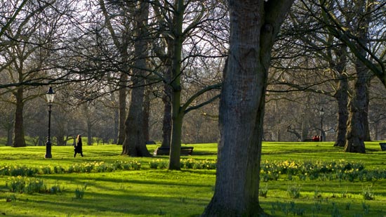 Green and Hyde Park Walk