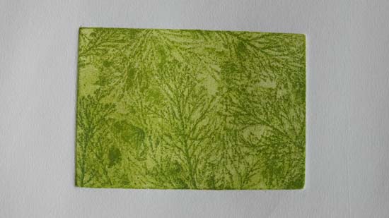 Intaglio prints.