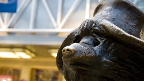 Paddington Bear
