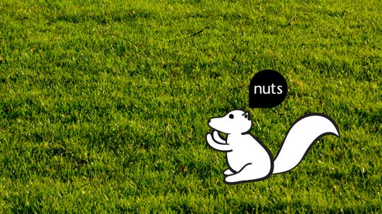 Squirrel, nuts?